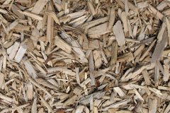 biomass boilers Dryden